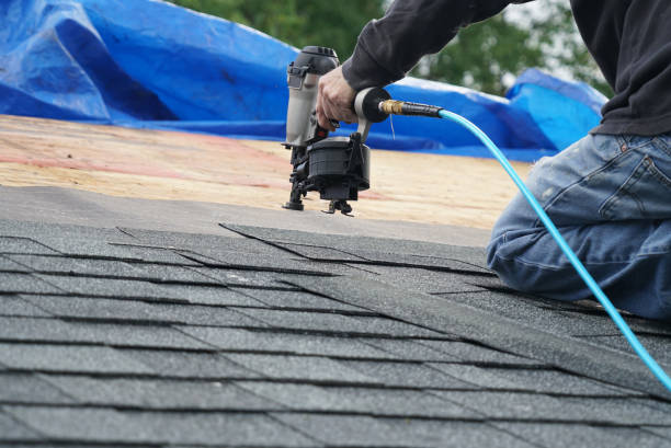Best Roof Gutter Cleaning  in Byhalia, MS