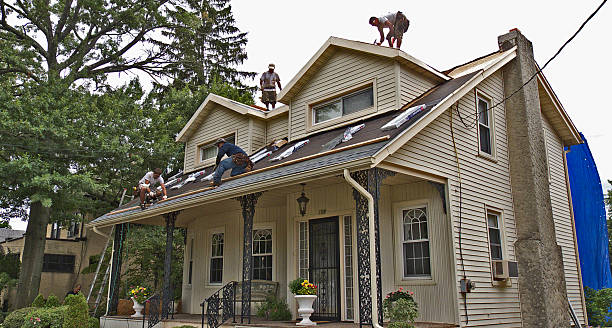 Best Shingle Roofing Installation  in Byhalia, MS